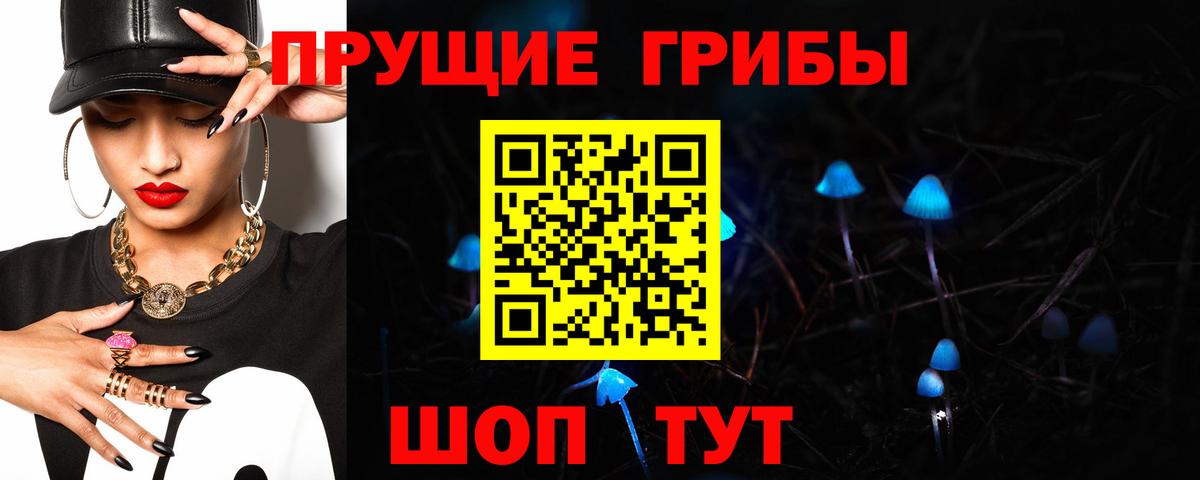 Псилоцибиновые грибы Cubensis Заинск